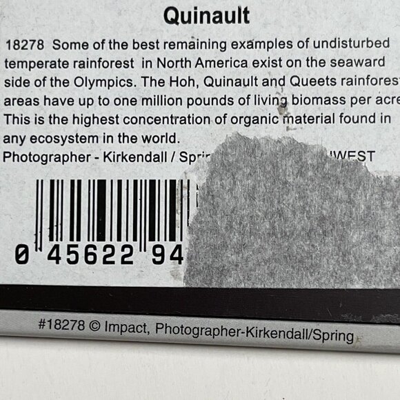 Fridge Magnet Forest 2.5 X 3 Inches Trees Woods Scenery Quinault Kirkendall - Picture 5 of 5